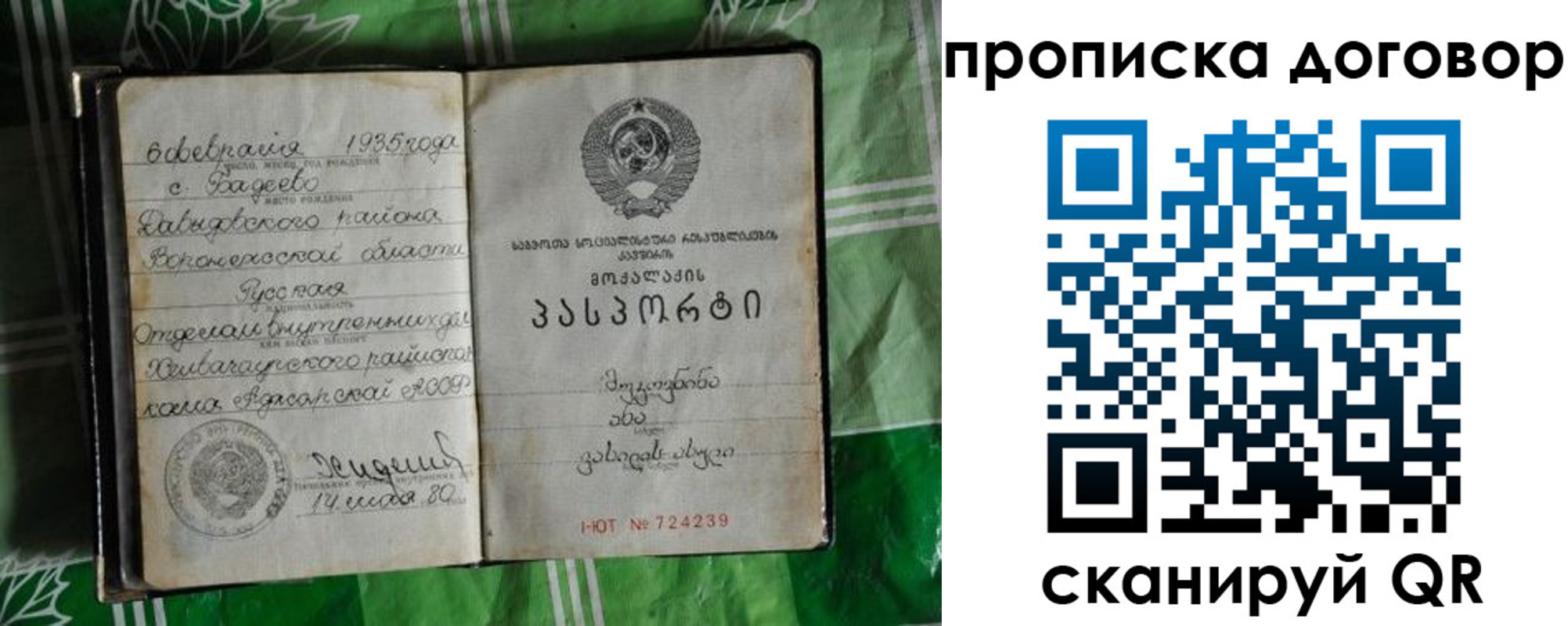 прописка в Дальнегорске